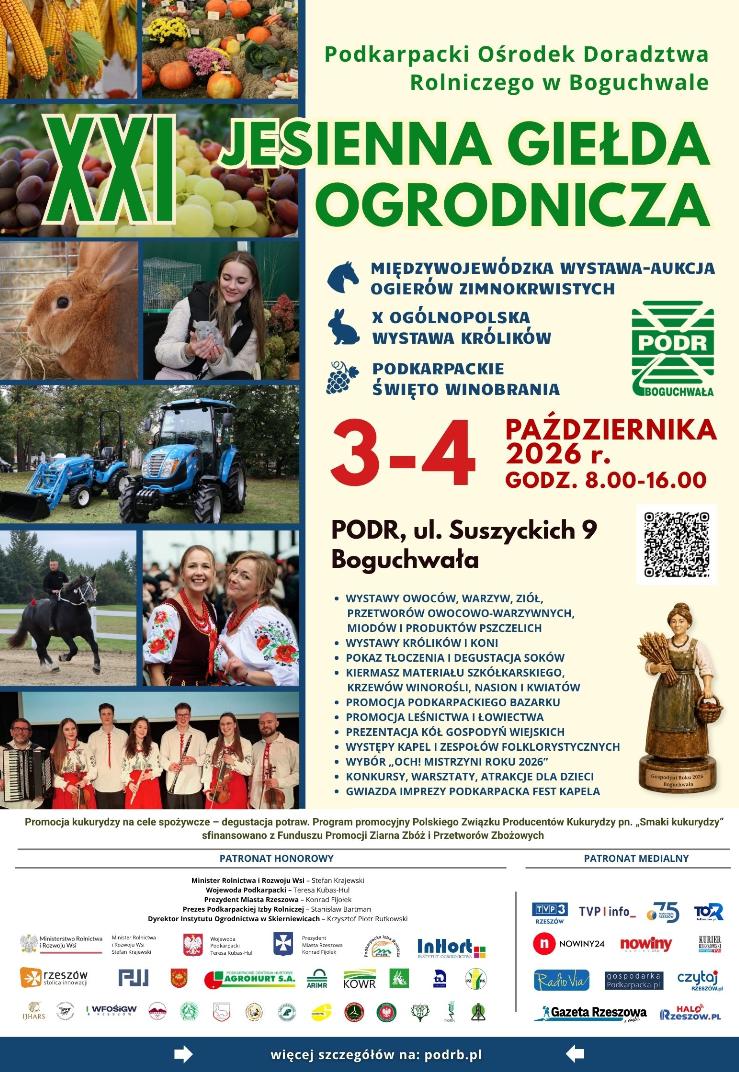 akt_akt206475072